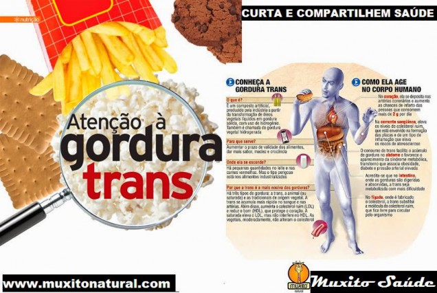 img-post-gordura-trans